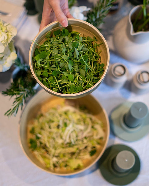 sage + olive | bebb | biodegradable bamboo bowls - porter green | style + sustainability